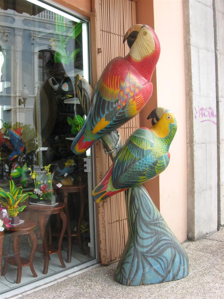 City parrots