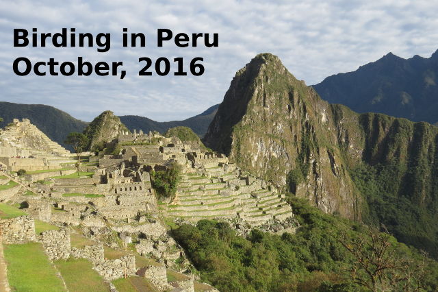 Peru - October, 2016